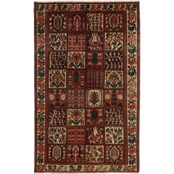 tappeto persia bakhtiyar cm 155x248