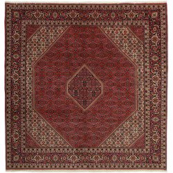 tappeto persia bidjar zandjan cm 247x254