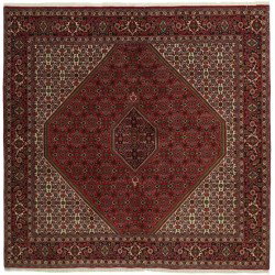 tappeto persia bidjar zandjan cm 250x244