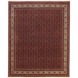 tappeto india bidjar indi cm 251x304 