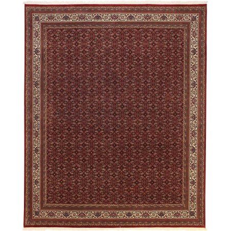 tappeto india bidjar indi cm 251x304 