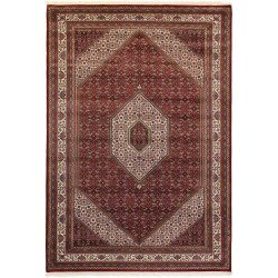 tappeto india bidjar indi cm 212x304 