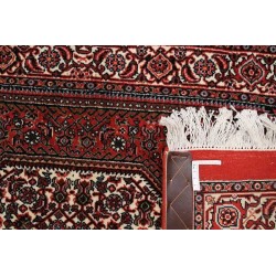 tappeto persia bidjar fine cm 73x137 
