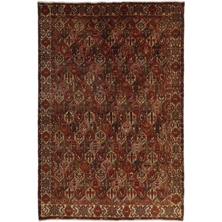 tappeto persia bakhtiyar cm 210x308