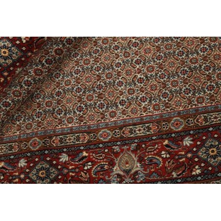 tappeto PERSIA MOUD MAHI CM.197X288