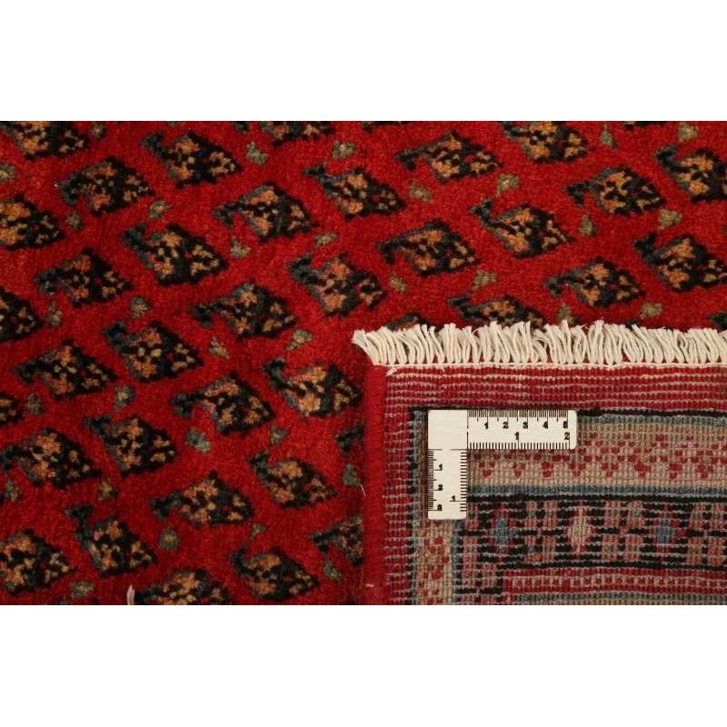 tappeto PERSIA MIR BOTEH CM.252X347