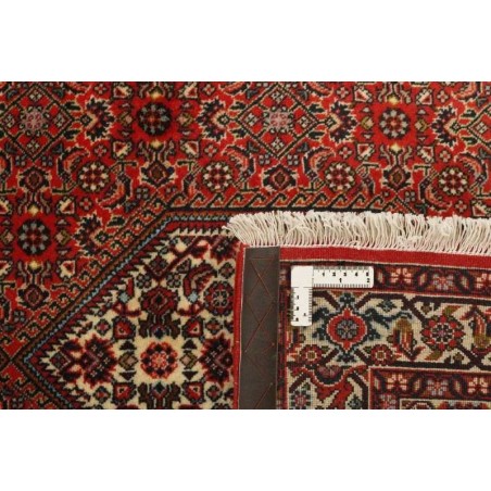 tappeto PERSIA BIDJAR ZANDJAN CM.88X307