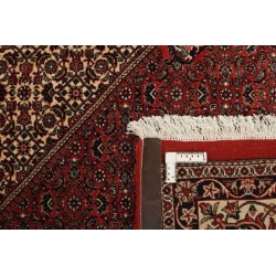 tappeto persia bidjar fine cm 209x305  2