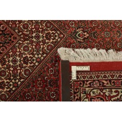 tappeto persia bidjar fine cm 175x257  2