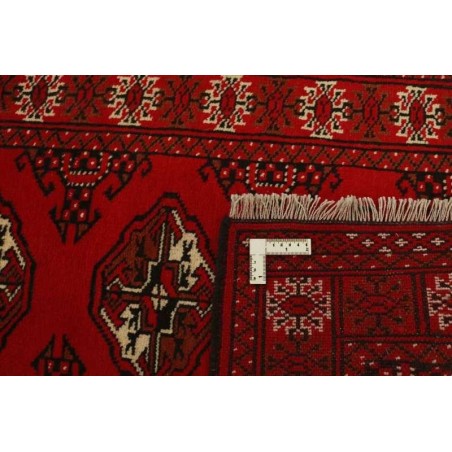 tappeto PERSIA TORKAMAN CM.73X290