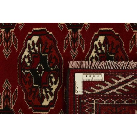 tappeto PERSIA TORKAMAN CM.98X146