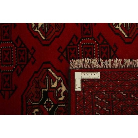 tappeto PERSIA TORKAMAN CM.99X150