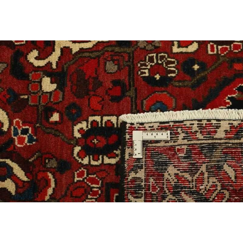 tappeto PERSIA BAKHTIYAR CM.205X304