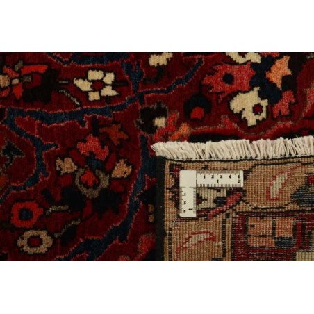tappeto PERSIA BAKHTIYAR CM.207X318