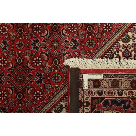 tappeto PERSIA BIDJAR ZANDJAN CM.247X254