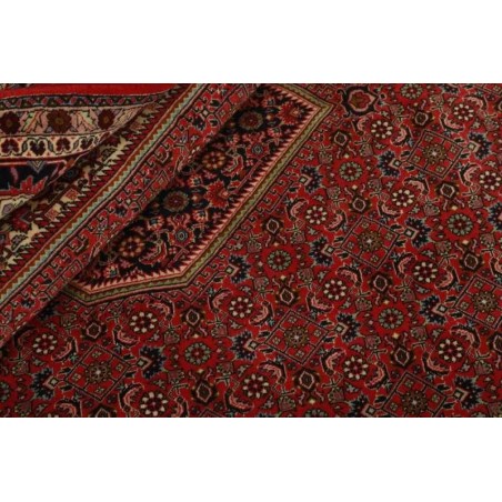 tappeto PERSIA BIDJAR ZANDJAN CM.247X254
