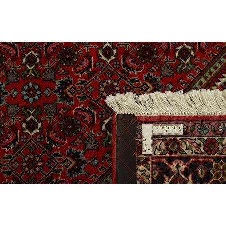 tappeto PERSIA BIDJAR ZANDJAN CM.250X244