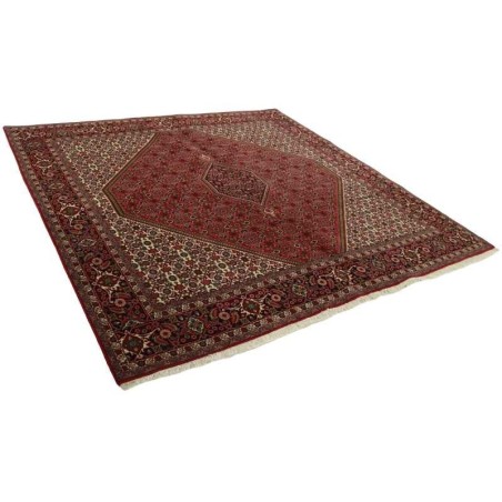 tappeto PERSIA BIDJAR ZANDJAN CM.250X244