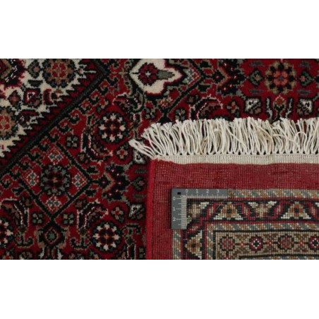 tappeto INDIA BIDJAR ROYAL CM.171X241