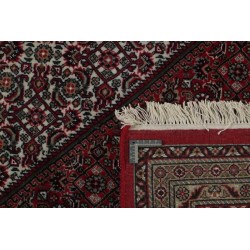 tappeto india bidjar royal cm 247x300 2