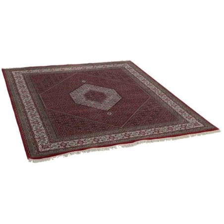 tappeto INDIA BIDJAR ROYAL CM.247X300