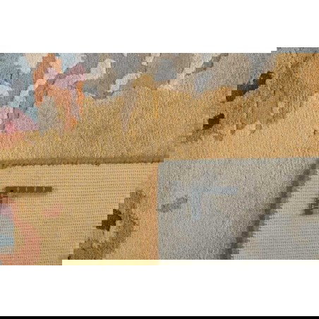 tappeto INDIA SENSES CM.250X300