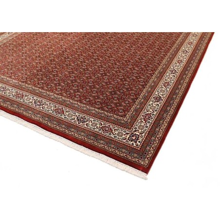 tappeto INDIA BIDJAR INDI CM.252X307