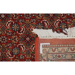 tappeto india bidjar indi cm 251x304  2