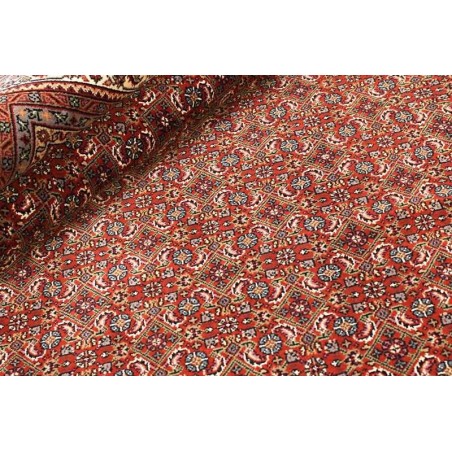tappeto INDIA BIDJAR INDI CM.251X304