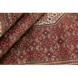 tappeto india bidjar indi cm 212x304  2