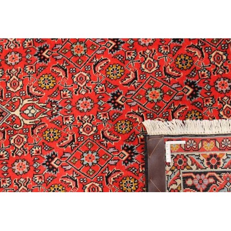 tappeto PERSIA BIDJAR ZANDJAN CM.173X264
