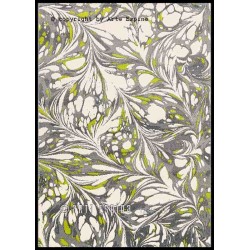Tappeto moderno Moire Arte Espina grey 4443-61 2