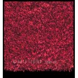 Tappeto moderno shaggy/peloso Soul Arte Espina red Soul-41  2