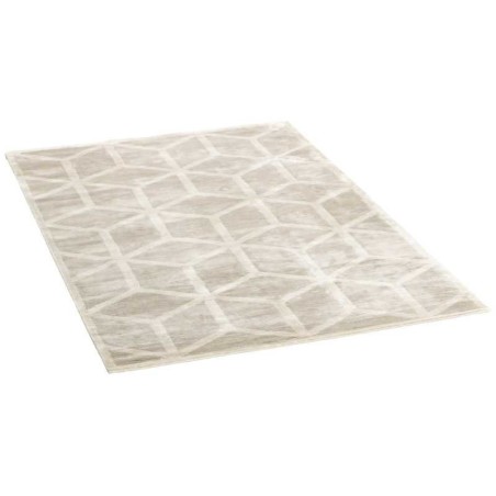 tappeto INDIA COSMOU CM.200X300
