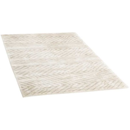 tappeto INDIA COSMOU CM.200X300