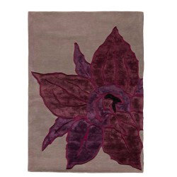Carpet moderno Muse violet Renato Balestra cm.200x300 in offerta 2