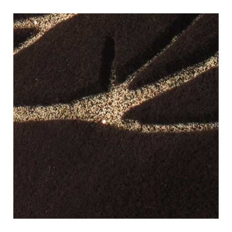 Tappeto moderno Wallflor Chloe Brown Lauren Jacob