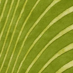 Tappeto moderno Wallflor Nadir 199 Green Lime Lauren Jacob 2