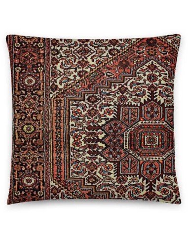 tappeto PERSIA GHOLTUGH CM.105X157