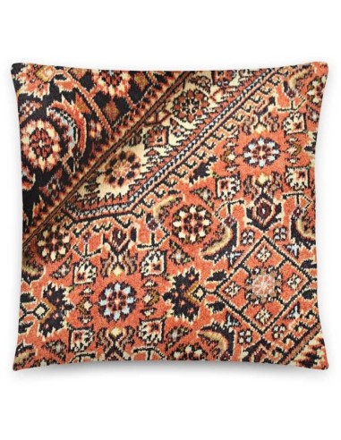 tappeto PERSIA BIDJAR ZANDJAN CM.110X167