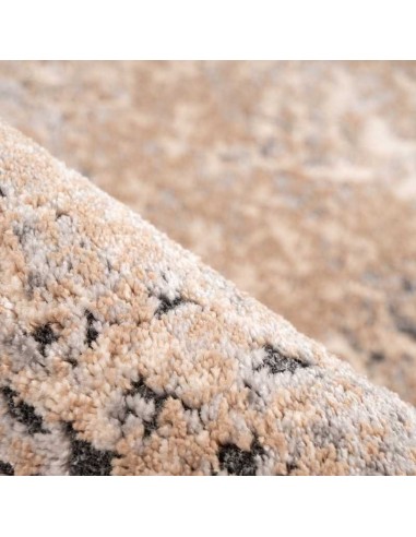 tappeto Arte Espina PALACE 500 MULTICOLOR BEIGE