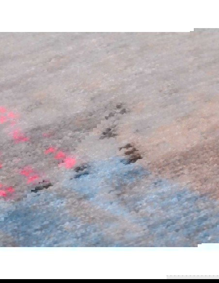 tappeto Torino 600 multi