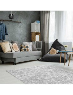 tappeto Ravenna 110 grigio argento 2