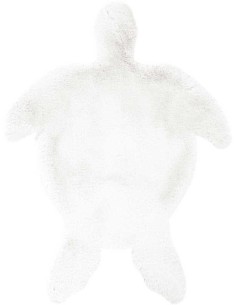 tappeto Paese dei Balocchi Tartariga bianco