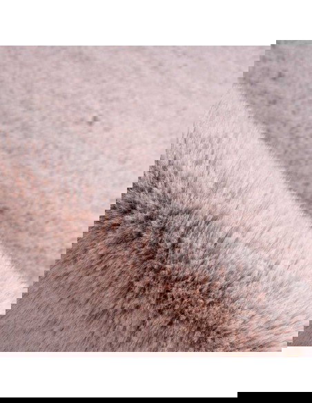 tappeto Paese dei Balocchi Pinguino rosa