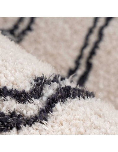 tappeto Pisa 225 avorio