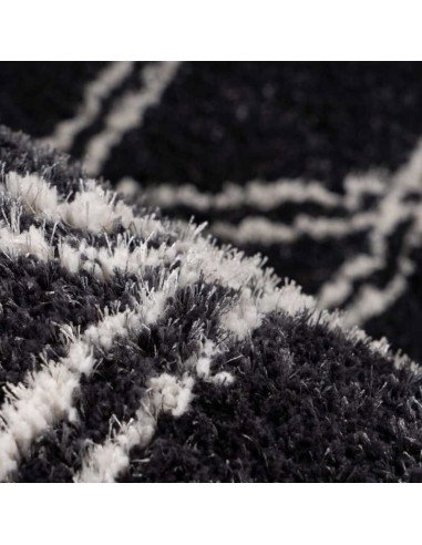 tappeto Pisa 325 antracite