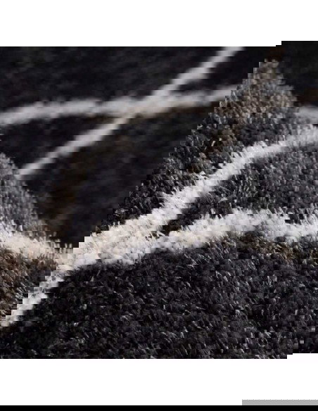 tappeto Pisa 425 antracite