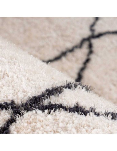 tappeto Pisa 425 avorio