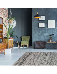 tappeto Catanzaro 113 natura grigio 2